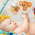 monkey hearing & touch toys
