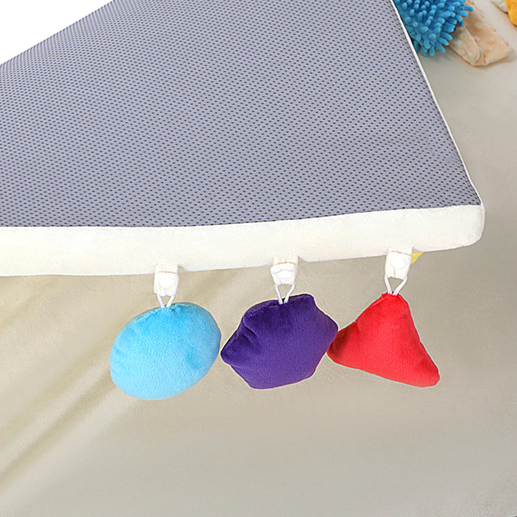 grasping skill toys details